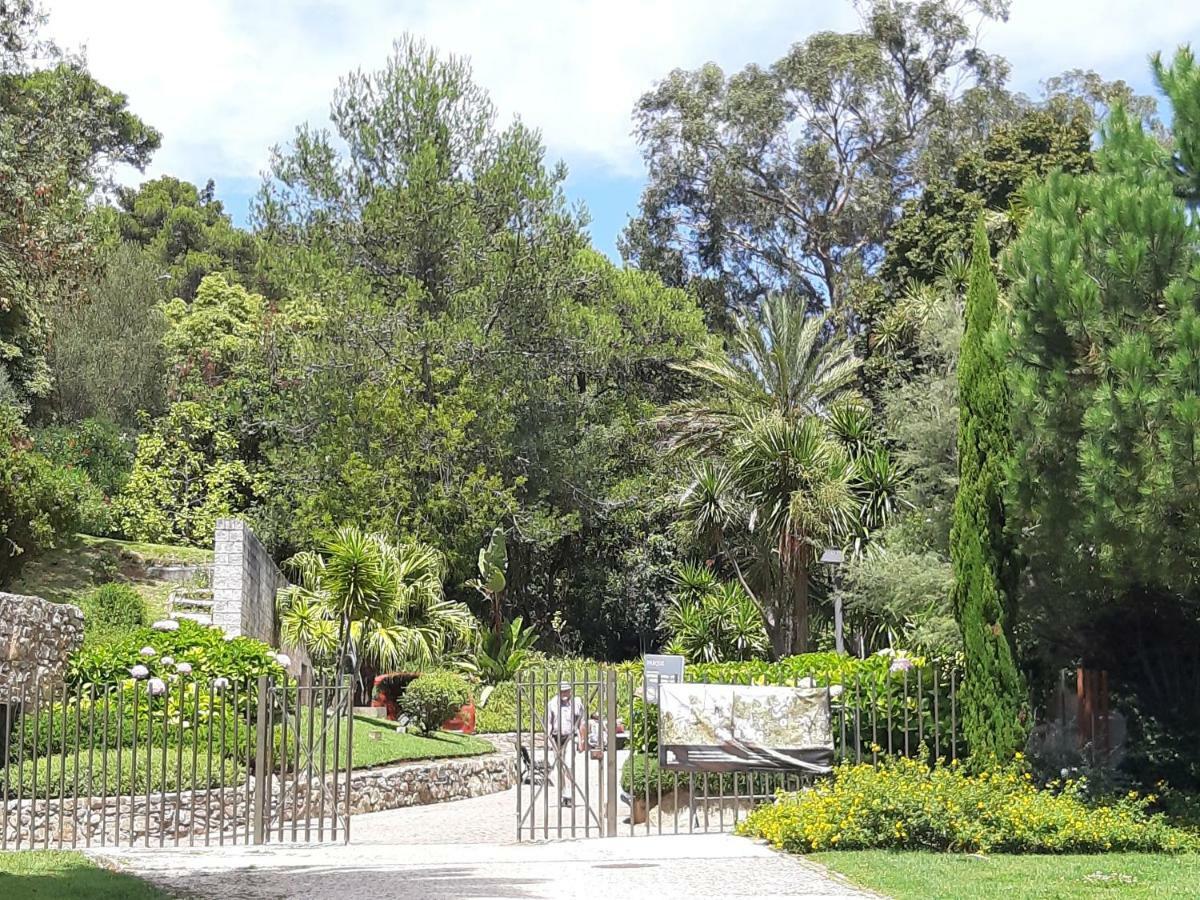Cascais-Estoril Beachfront Apartments מראה חיצוני תמונה